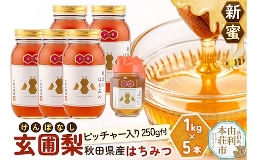 【新蜜】小松養蜂場 はちみつ 秋田県産 100％ 玄圃梨蜂蜜 1kg×5本 ピッチャー250g付 計5.25kg [はちみつ ハチミツ 蜂蜜 国産 秋田県産]