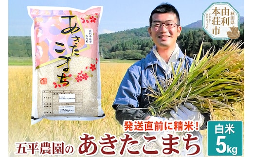 【白米】あきたこまち 5kg 令和7年産 秋田県産 五平農園のあきたこまち お米 米 こめ 五平農園