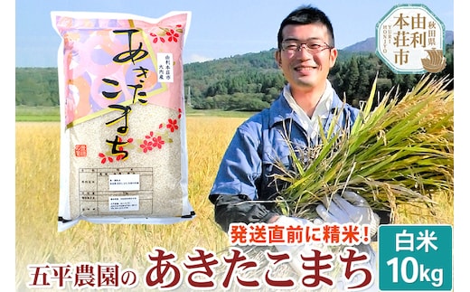 【白米】あきたこまち 10kg 令和7年産 秋田県産 五平農園のあきたこまち お米 米 こめ 五平農園