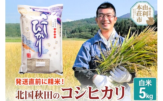 【白米】コシヒカリ 5kg 令和7年産 秋田県産 北国秋田のコシヒカリ お米 米 こめ 五平農園
