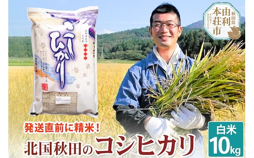 【白米】コシヒカリ10kg 令和7年産 秋田県産 北国秋田のコシヒカリ お米 米 こめ 五平農園