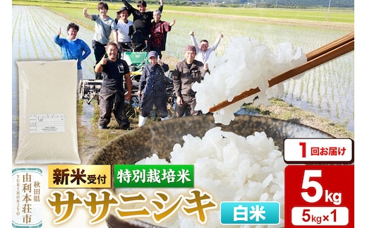 《令和8年産 新米受付》【白米】特別栽培米 ササニシキ 5kg（5kg×1袋） [ササニシキ 新米予約 先行予約 米 お米 こめ 白米 精米 ブランド米 食卓 おにぎり 秋田県産 秋田]