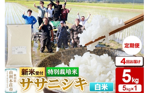 《令和8年産 新米受付》《定期便4ヶ月》【白米】特別栽培米 ササニシキ 5kg 秋田県産 [ササニシキ 新米予約 先行予約 米 お米 こめ 白米 精米 ブランド米 食卓 おにぎり 秋田県産 秋田]