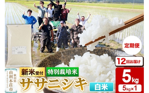 《令和8年産 新米受付》《定期便12ヶ月》【白米】特別栽培米 ササニシキ 5kg 秋田県産 [ササニシキ 新米予約 先行予約 米 お米 こめ 白米 精米 ブランド米 食卓 おにぎり 秋田県産 秋田]