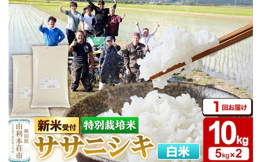 《令和8年産 新米受付》【白米】特別栽培米 ササニシキ 10kg（5kg×2袋） [ササニシキ 新米予約 先行予約 米 お米 こめ 白米 精米 ブランド米 食卓 おにぎり 秋田県産 秋田]