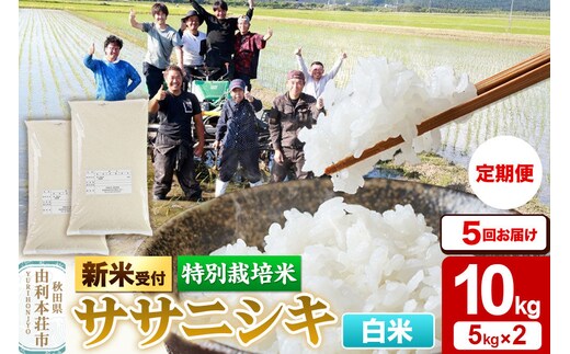 《令和8年産 新米受付》《定期便5ヶ月》【白米】特別栽培米 ササニシキ 10kg（5kg×2袋） 秋田県産 [ササニシキ 新米予約 先行予約 米 お米 こめ 白米 精米 ブランド米 食卓 おにぎり 秋田県産 秋田]