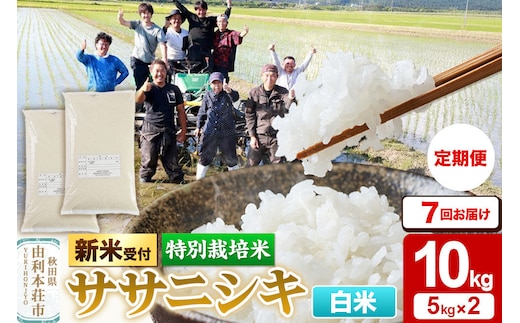《令和8年産 新米受付》《定期便7ヶ月》【白米】特別栽培米 ササニシキ 10kg（5kg×2袋） 秋田県産 [ササニシキ 新米予約 先行予約 米 お米 こめ 白米 精米 ブランド米 食卓 おにぎり 秋田県産 秋田]
