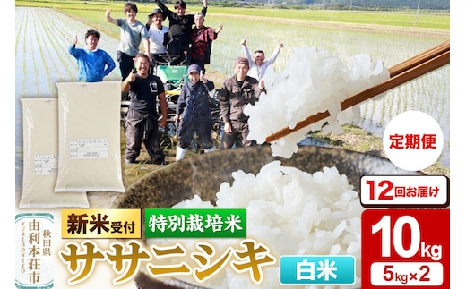《令和8年産 新米受付》《定期便12ヶ月》【白米】特別栽培米 ササニシキ 10kg（5kg×2袋） 秋田県産 [ササニシキ 新米予約 先行予約 米 お米 こめ 白米 精米 ブランド米 食卓 おにぎり 秋田県産 秋田]