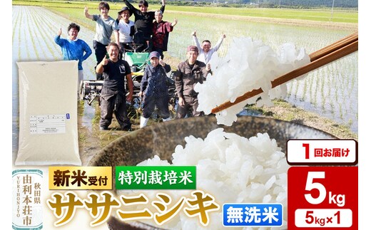 《令和8年産 新米受付》【無洗米】特別栽培米 ササニシキ 5kg 秋田県産 [ササニシキ 新米予約 先行予約 米 お米 こめ 無洗米 精米 ブランド米 食卓 おにぎり 秋田県産 秋田]