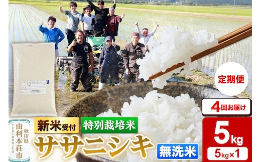 《令和8年産 新米受付》《定期便4ヶ月》【無洗米】特別栽培米 ササニシキ 5kg 秋田県産 [ササニシキ 新米予約 先行予約 米 お米 こめ 無洗米 精米 ブランド米 食卓 おにぎり 秋田県産 秋田]