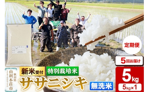 《令和8年産 新米受付》《定期便5ヶ月》【無洗米】特別栽培米 ササニシキ 5kg 秋田県産 [ササニシキ 新米予約 先行予約 米 お米 こめ 無洗米 精米 ブランド米 食卓 おにぎり 秋田県産 秋田]