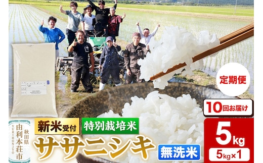 《令和8年産 新米受付》《定期便10ヶ月》【無洗米】特別栽培米 ササニシキ 5kg 秋田県産 [ササニシキ 新米予約 先行予約 米 お米 こめ 無洗米 精米 ブランド米 食卓 おにぎり 秋田県産 秋田]