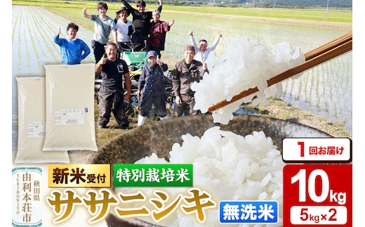 《令和8年産 新米受付》【無洗米】特別栽培米 ササニシキ 10kg（5kg×2袋）秋田県産 [ササニシキ 新米予約 先行予約 米 お米 こめ 無洗米 精米 ブランド米 食卓 おにぎり 秋田県産 秋田]