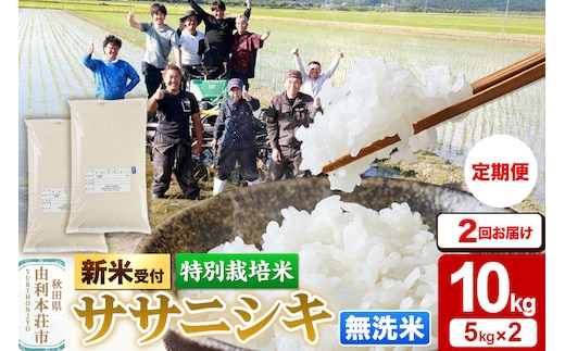 《令和8年産 新米受付》《定期便2ヶ月》【無洗米】特別栽培米 ササニシキ 10kg（5kg×2袋）秋田県産 [ササニシキ 新米予約 先行予約 米 お米 こめ 無洗米 精米 ブランド米 食卓 おにぎり 秋田県産 秋田]