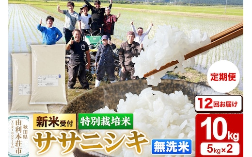 《令和8年産 新米受付》《定期便12ヶ月》【無洗米】特別栽培米 ササニシキ 10kg（5kg×2袋） 秋田県産 [ササニシキ 新米予約 先行予約 米 お米 こめ 無洗米 精米 ブランド米 食卓 おにぎり 秋田県産 秋田]
