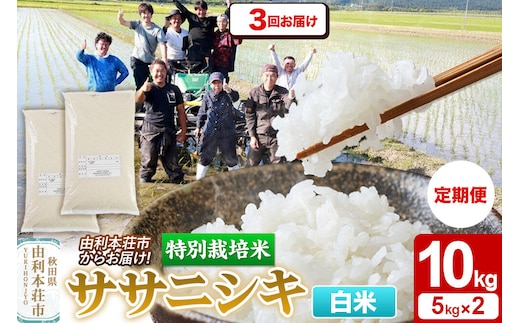 《定期便3ヶ月》令和7年産【白米】特別栽培米 ササニシキ 10kg（5kg×2袋） 秋田県産 [ササニシキ 米 お米 白米 精米 特別栽培米 ブランド米 食卓 秋田県産 秋田県 由利本荘市]