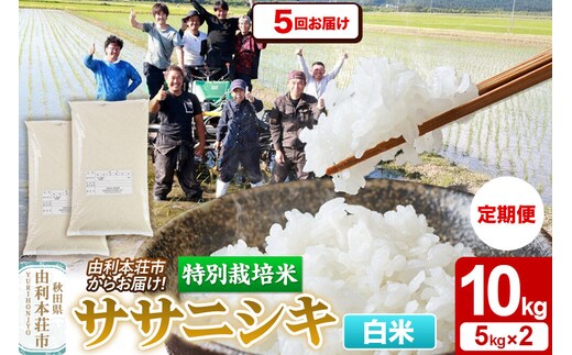 《定期便5ヶ月》令和7年産【白米】特別栽培米 ササニシキ 10kg（5kg×2袋） 秋田県産 [ササニシキ 米 お米 白米 精米 特別栽培米 ブランド米 食卓 秋田県産 秋田県 由利本荘市]