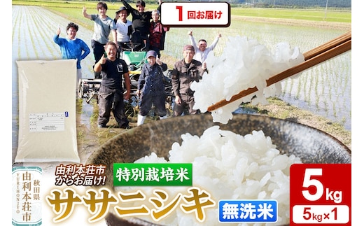 令和7年産【無洗米】特別栽培米 ササニシキ 5kg 秋田県産 [ササニシキ 米 お米 白米 精米 無洗米 特別栽培米 ブランド米 食卓 秋田県産 秋田県 由利本荘市]