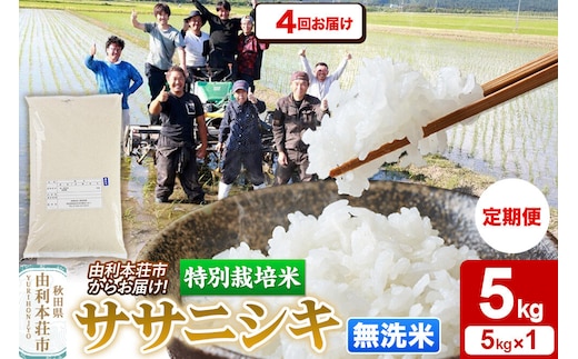 《定期便4ヶ月》令和7年産【無洗米】特別栽培米 ササニシキ 5kg 秋田県産 [ササニシキ 米 お米 白米 精米 無洗米 特別栽培米 ブランド米 食卓 秋田県産 秋田県 由利本荘市]
