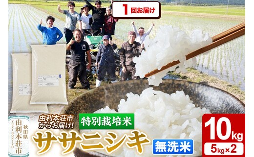 令和7年産【無洗米】特別栽培米 ササニシキ 10kg（5kg×2袋）秋田県産 [ササニシキ 米 お米 白米 精米 無洗米 特別栽培米 ブランド米 食卓 秋田県産 秋田県 由利本荘市]