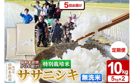 《定期便5ヶ月》令和7年産【無洗米】特別栽培米 ササニシキ 10kg（5kg×2袋）秋田県産 [ササニシキ 米 お米 白米 精米 無洗米 特別栽培米 ブランド米 食卓 秋田県産 秋田県 由利本荘市]