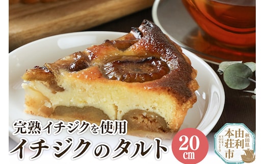 イチジクのタルト 20cm（800g）