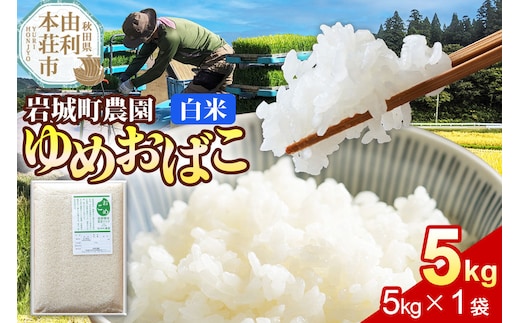 【白米】ゆめおばこ 秋田県産 岩城町農園のゆめおばこ 5kg（5kg×1袋）令和7年産 真空パック [ゆめおばこ 米 お米 こめ 白米 精米 食卓 ご飯 ごはん おにぎり 秋田県 由利本荘市]