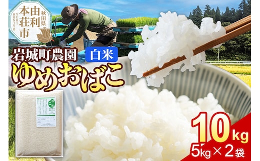 【白米】ゆめおばこ 秋田県産 岩城町農園のゆめおばこ 10kg（5kg×2袋）令和7年産 真空パック [ゆめおばこ 米 お米 こめ 白米 精米 食卓 ご飯 ごはん おにぎり 秋田県 由利本荘市]