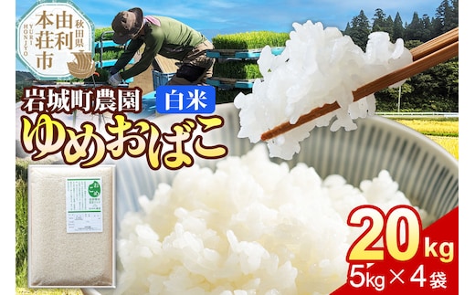 【白米】ゆめおばこ 秋田県産 岩城町農園のゆめおばこ 20kg（5kg×4袋）令和7年産 真空パック [ゆめおばこ 米 お米 こめ 白米 精米 食卓 ご飯 ごはん おにぎり 秋田県 由利本荘市]