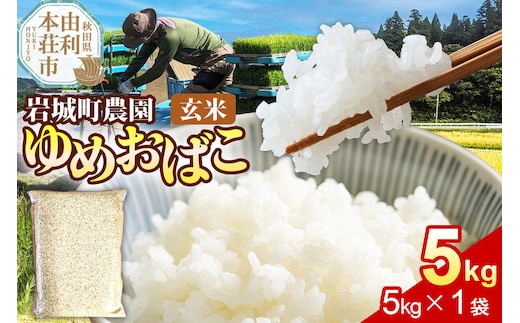 【玄米】ゆめおばこ 秋田県産 岩城町農園のゆめおばこ 5kg（5kg×1袋）令和7年産 真空パック [ゆめおばこ 米 お米 こめ 玄米 食卓 ご飯 ごはん おにぎり 秋田県 由利本荘市]
