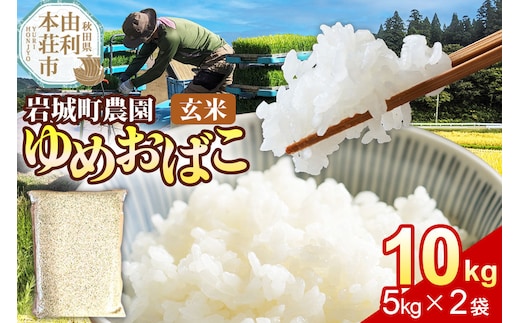 【玄米】ゆめおばこ 秋田県産 岩城町農園のゆめおばこ 10kg（5kg×2袋）令和7年産 真空パック [ゆめおばこ 米 お米 こめ 玄米 食卓 ご飯 ごはん おにぎり 秋田県 由利本荘市]