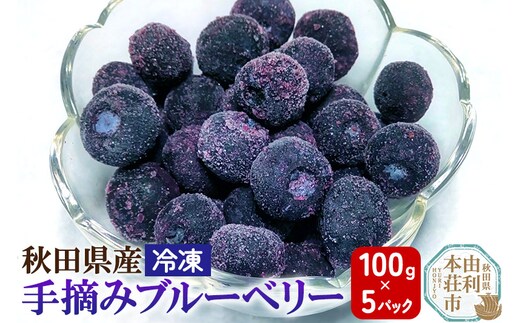 秋田県産 手摘み冷凍ブルーベリー 100g×5パック