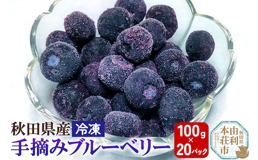 秋田県産 手摘み冷凍ブルーベリー 100g×20パック