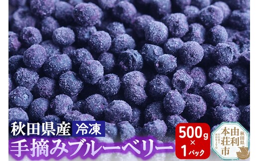 秋田県産 手摘み冷凍ブルーベリー 500g×1パック