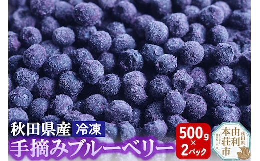 秋田県産 手摘み冷凍ブルーベリー 500g×2パック
