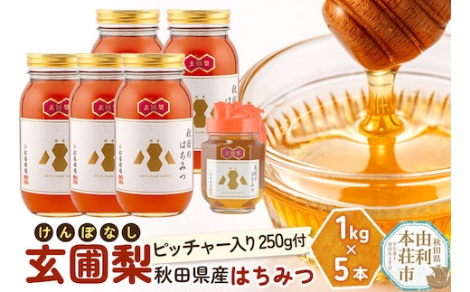 【令和8年度産】小松養蜂場 はちみつ 秋田県産 100％ 玄圃梨蜂蜜 1kg×5本 ピッチャー250g付 計5.25kg [はちみつ ハチミツ 蜂蜜 国産 秋田県産]