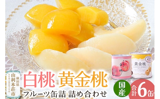 Sanuki フルーツ缶詰 詰め合わせ 6缶セット(黄金桃、白桃)