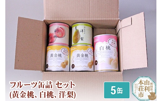 Sanuki フルーツ缶詰 詰め合わせ 5缶セット(黄金桃、白桃、洋梨)