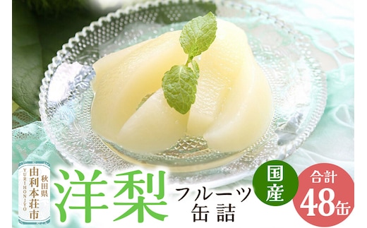 Sanuki フルーツ缶詰 洋梨 48缶セット 国産果実 非常食 保存食 業務用