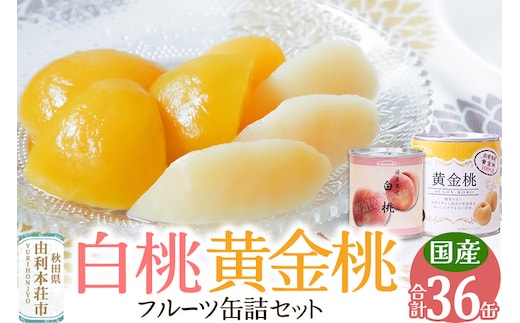 Sanuki フルーツ缶詰 白桃＆黄金桃 36缶セット（白桃×12缶、黄金桃×24缶）非常食 保存食 業務用