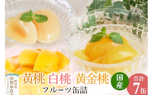 Sanuki フルーツ缶詰 東北産黄桃・黄金桃・2つ割り白桃缶詰 計7缶セット