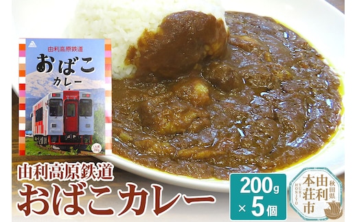 由利高原鉄道 おばこカレー 中辛 200g×5個セット