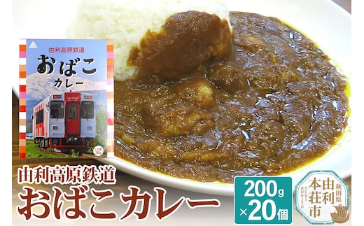 由利高原鉄道 おばこカレー 中辛 200g×20個セット