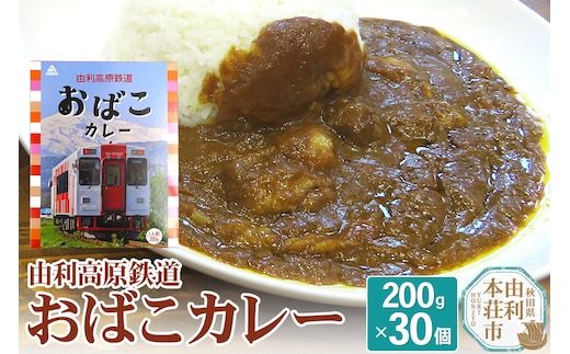 由利高原鉄道 おばこカレー 中辛 200g×30個セット