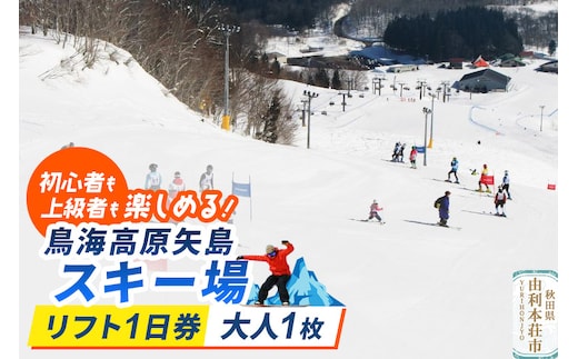 鳥海高原矢島スキー場 リフト1日券 大人1枚【営業期間：2025年12月～2026年3月】＜簡易書留＞
