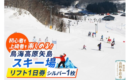 鳥海高原矢島スキー場 リフト1日券 シルバー(60歳以上) 1枚【営業期間：2025年12月～2026年3月】＜簡易書留＞