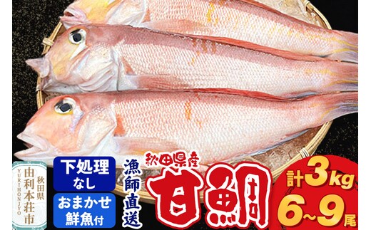《予約受付》漁師直送 甘鯛（あまだい）3kg＋おまかせ鮮魚 秋田県産【下処理なし】