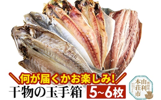 干物の玉手箱 5～6枚 [魚 鮮魚 干物 おかず おつまみ 食べ比べ セット おまかせ 冷凍 贈答 秋田]