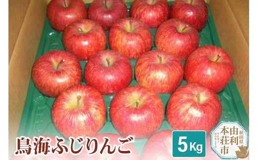 《先行受付》鳥海ふじりんご 5kg 農家直送 林檎 リンゴ [農家直送 りんご 林檎 リンゴ アップル 果物 フルーツ]