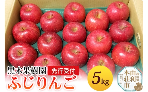 《先行受付》りんご（ふじ）5kg 黒木果樹園のりんご（12月上旬～1月下旬に発送） [林檎 りんご リンゴ フルーツ 果物 スイーツ 秋田県産 農家直送 由利本荘市 黒木果樹園]